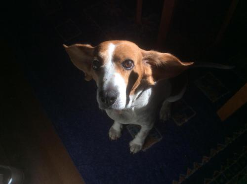 51668586_257201675178186_5667884558880604160_n